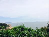 10410573_10102691596985142_4497021477940622252_n